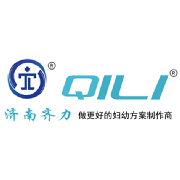 济南齐力光电技术有限公司