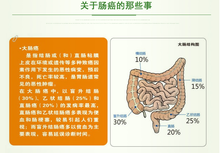 家庭自检大便隐血双联试纸条卡潜血肠癌检测筛查上下消化道出血