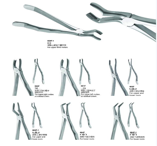 天天齿科-----拔牙钳—成人