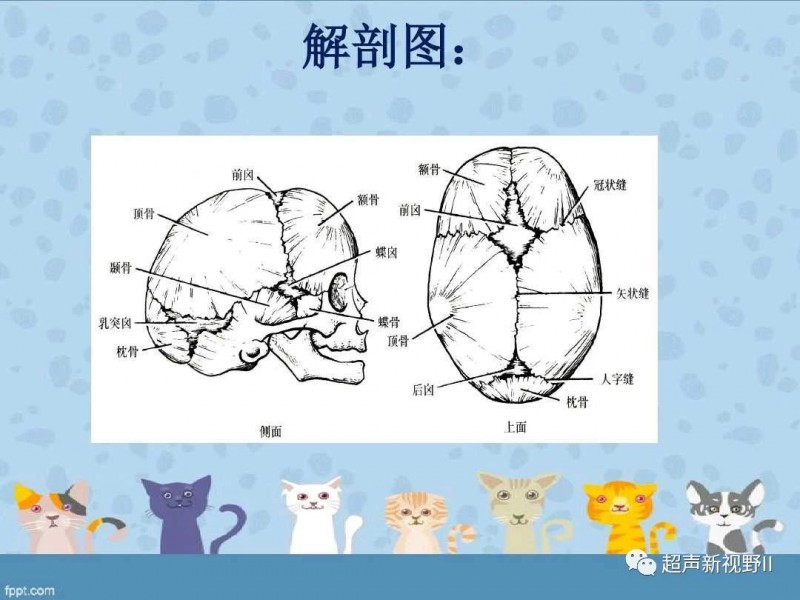 微信图片_20181128150654