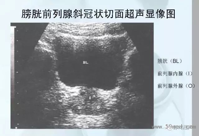 微信图片_20190221113726