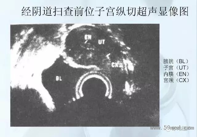 微信图片_20190221113805