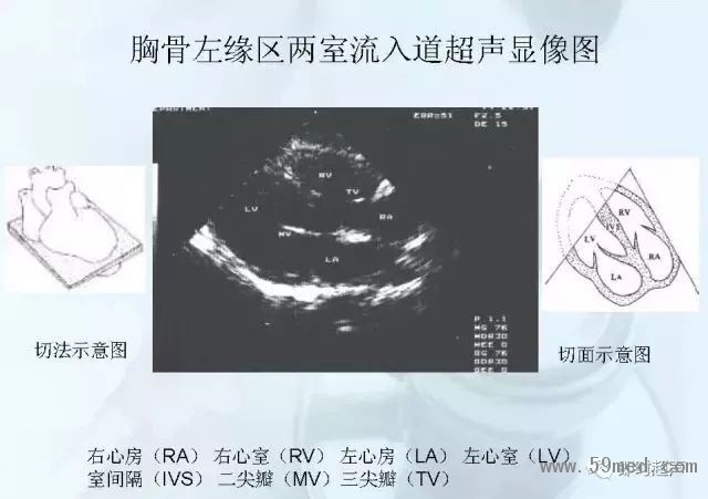 微信图片_20190221113828