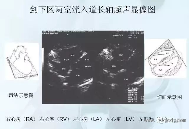 微信图片_20190221113839