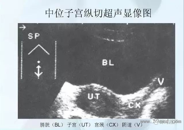 微信图片_20190221113849