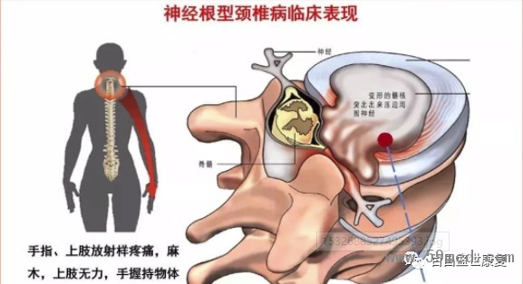 微信图片_20190221134611