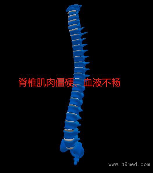 微信图片编辑_20210511153748